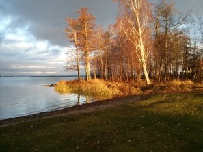 lg-google-nexus-4-kamerabild-05